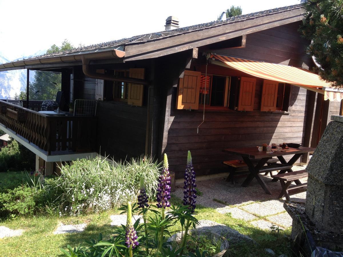 Ferienwohnung Im Chalet Firn - Og 波尔琴 外观 照片