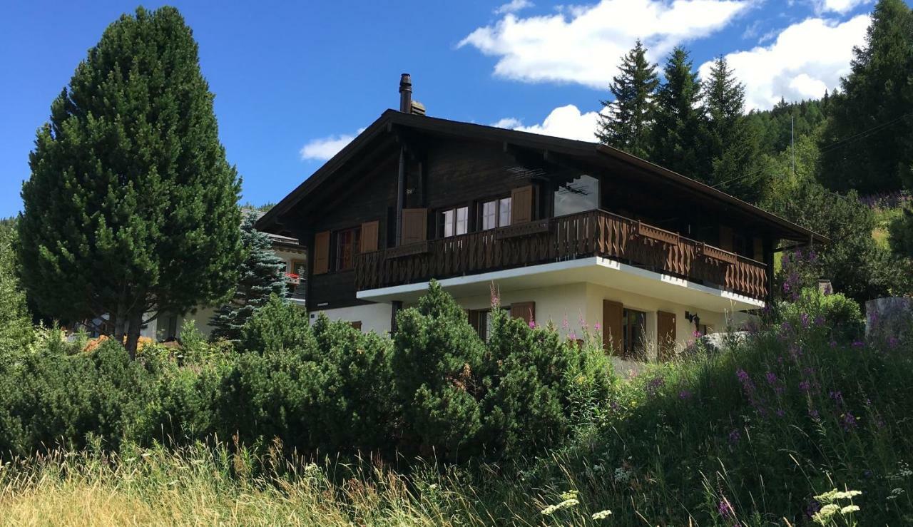 Ferienwohnung Im Chalet Firn - Og 波尔琴 外观 照片
