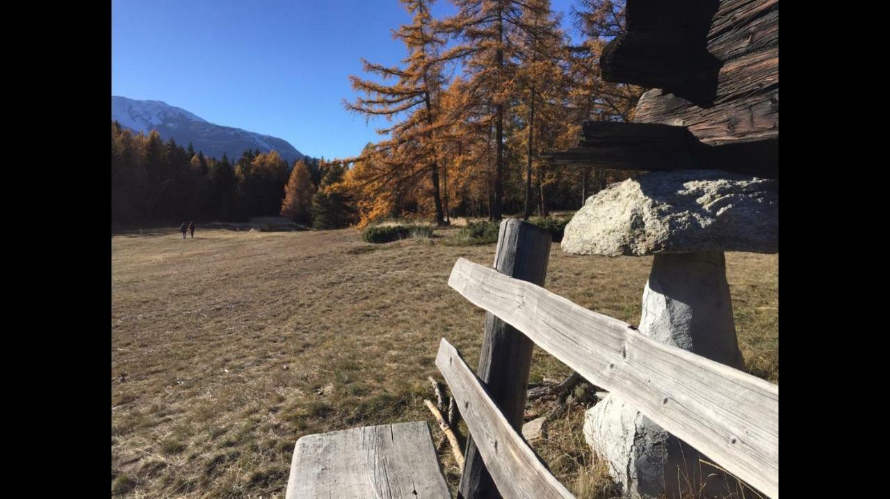 Ferienwohnung Im Chalet Firn - Og 波尔琴 外观 照片